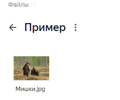 Изображение выглядит как текст, снимок экрана, млекопитающее, на открытом воздухеАвтоматически созданное описание